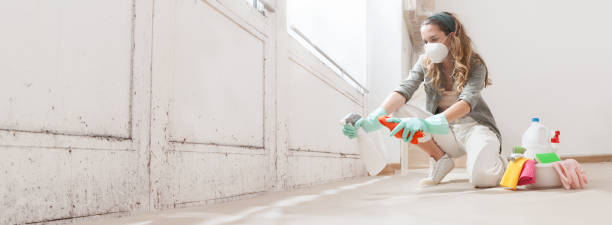 Trusted San Lorenzo, CA Mold Inspection, Removal & Remediation Experts